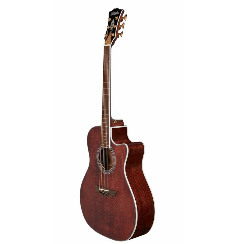 Фото Гитара электроакустическая D'Angelico Excel Gramercy XT WS