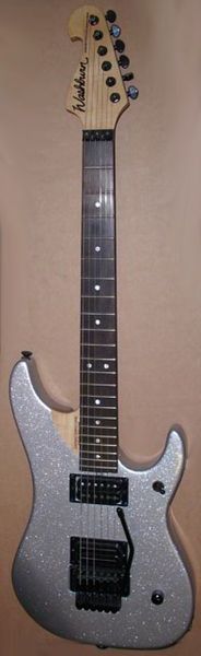 Фото Washburn N4EASMFB