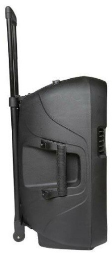 Фото Активная акустическая система ECO VOYAGE 8