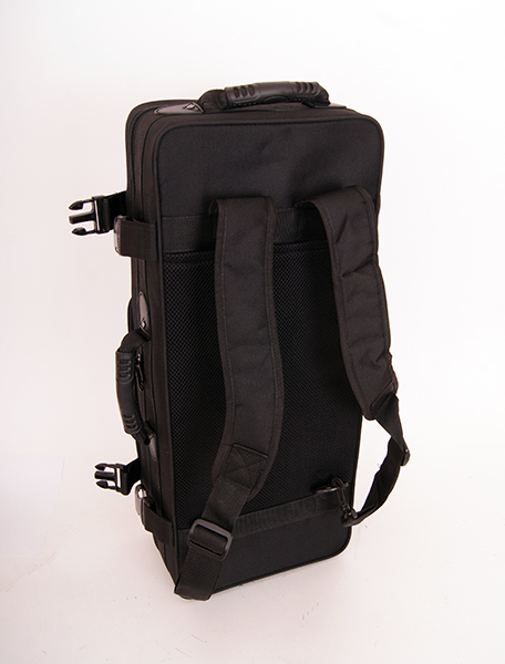 Саксофон АЛЬТ Eb Conductor FLT-SAS в магазине Music-Hummer