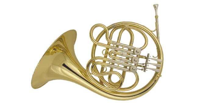 Фото Валторна WISEMANN DFH-F500