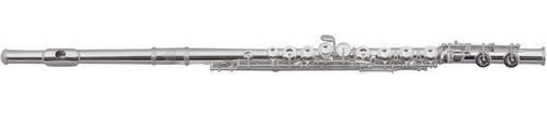 Фото ROY BENSON FL-602RІ