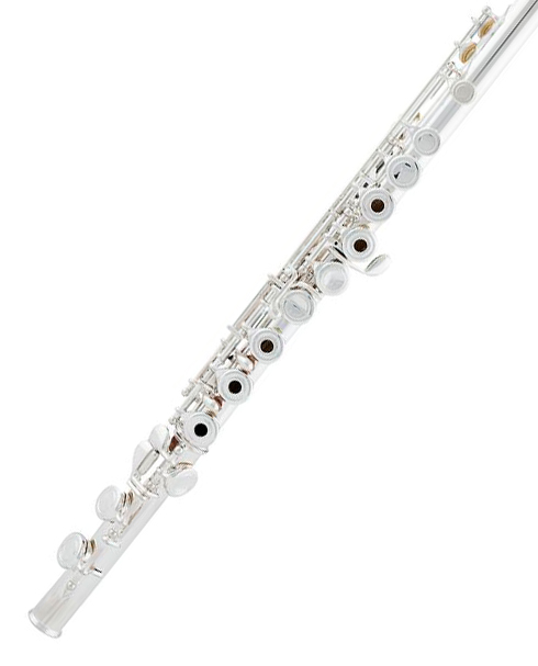 Фото Arnolds&Sons AFL-210CE