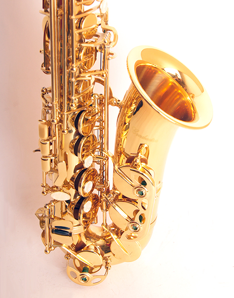 Саксофон АЛЬТ Eb Conductor FLT-SAL в магазине Music-Hummer