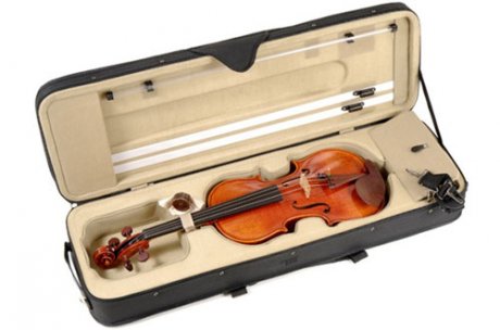 Фото Скрипка DOWINA Belcanto Violin BCV