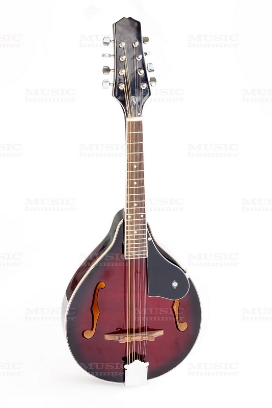 Фото Мандолина Euphony V65