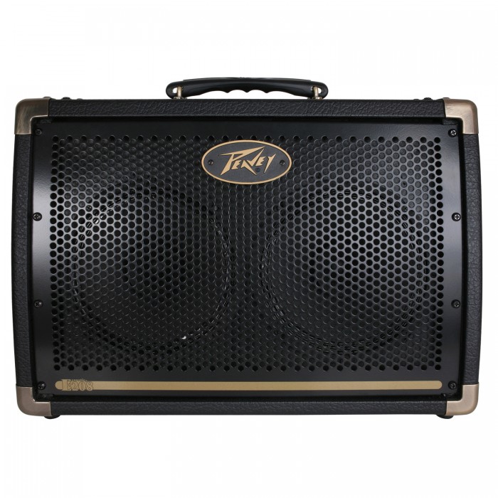 Фото Peavey Ecoustic E208