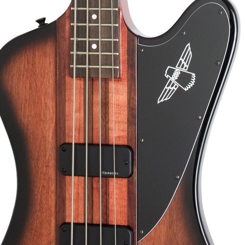 Фото EPIPHONE THUNDERBIRD PRO-IV (4-string) VS