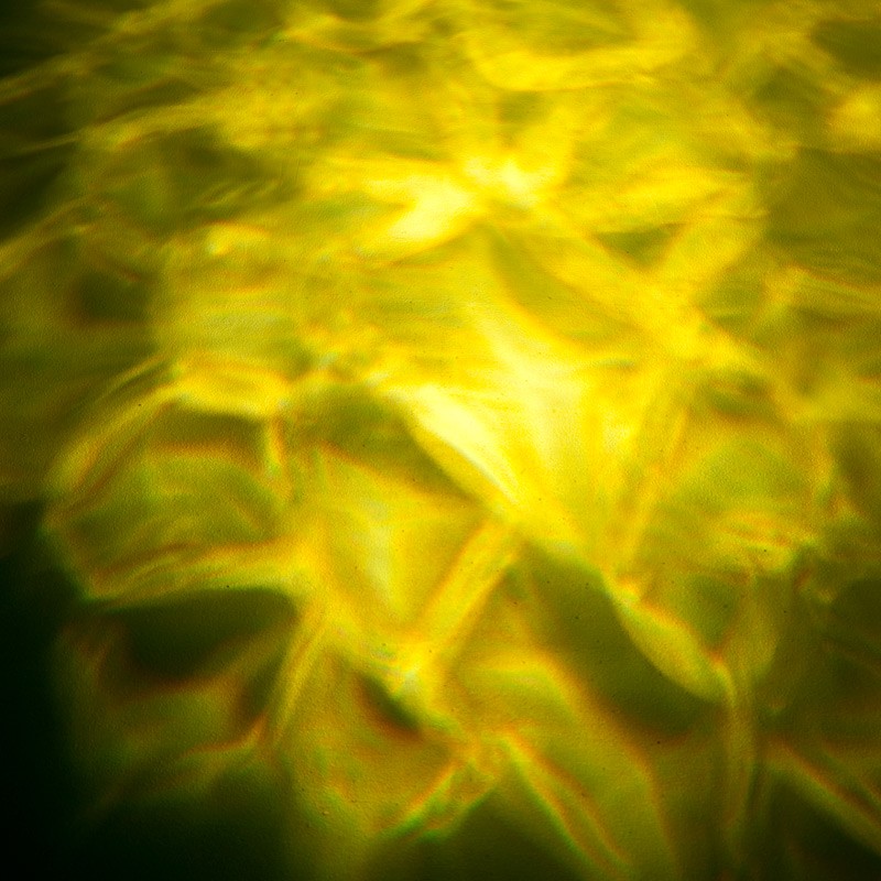 Фото ADJ H2O DMX IR