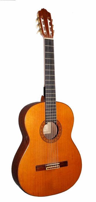 Фото Esteve 9C/ B SP