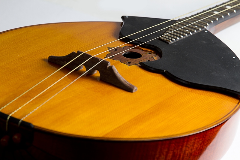 Фото ПКМИ фонда П.И. Чайковского ДОМРА 3-Х СТРУННАЯ АЛЬТ (Концертная, сольная, спецзаказ)