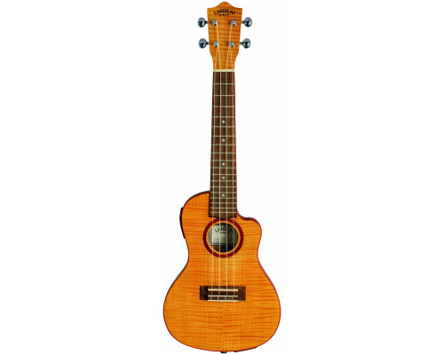 Фото Укулеле концерт LANIKAI FM-CETC