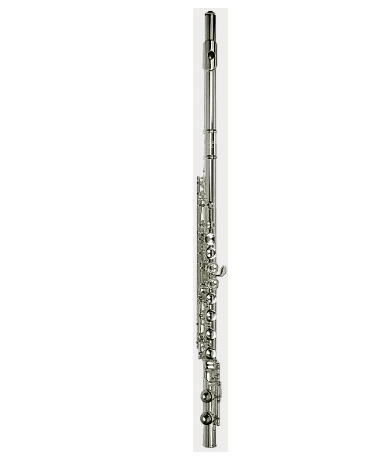 Фото Флейта C SELMER FL302