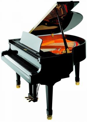 Фото PETROF PE V (0801)