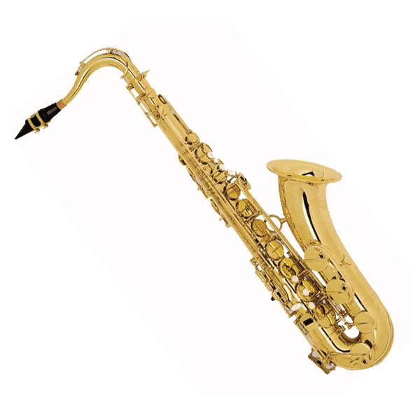 Саксофон тенор Вb SELMER Super Action 80 SERIE II (SA80II-VO) в магазине Music-Hummer
