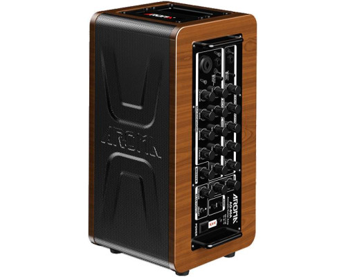 Фото Комбоусилитель для акустической гитары AROMA AG-60A