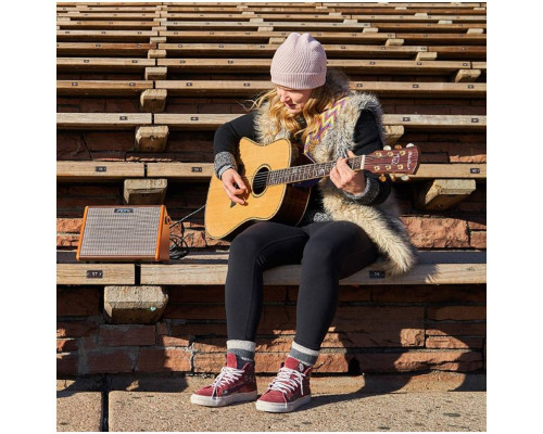 Фото Комбоусилитель для акустической гитары AROMA AG-26A