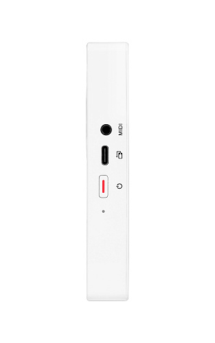Фото Процессор эффектов Mooer P2 Intelligent Pedal WH