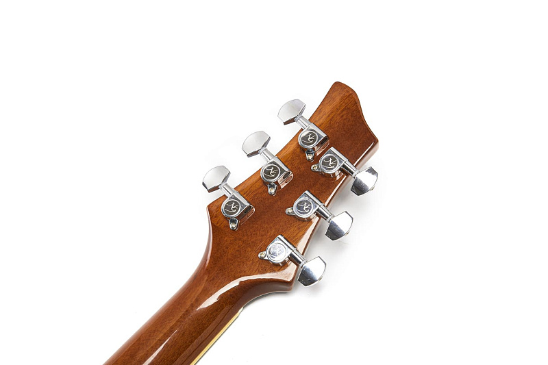 Фото Электроакустическая гитара NG DAWN-E S1 NA