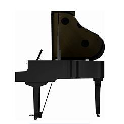 Цифровой рояль премиум класса Roland GP 9 PE