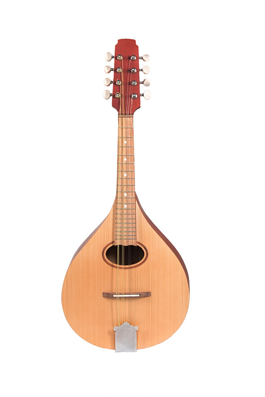 Фото P8MH Мандолина португальская, Doff