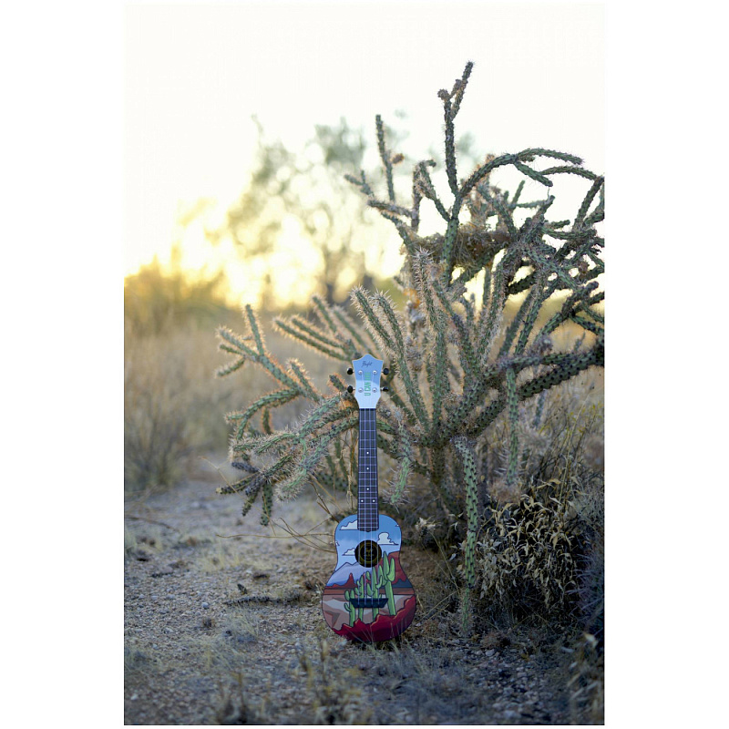 Фото Укулеле концерт FLIGHT TUC UCU / U Can Uke