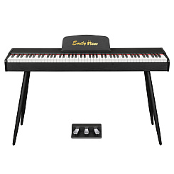 Цифровое фортепиано EMILY PIANO D-47 BK