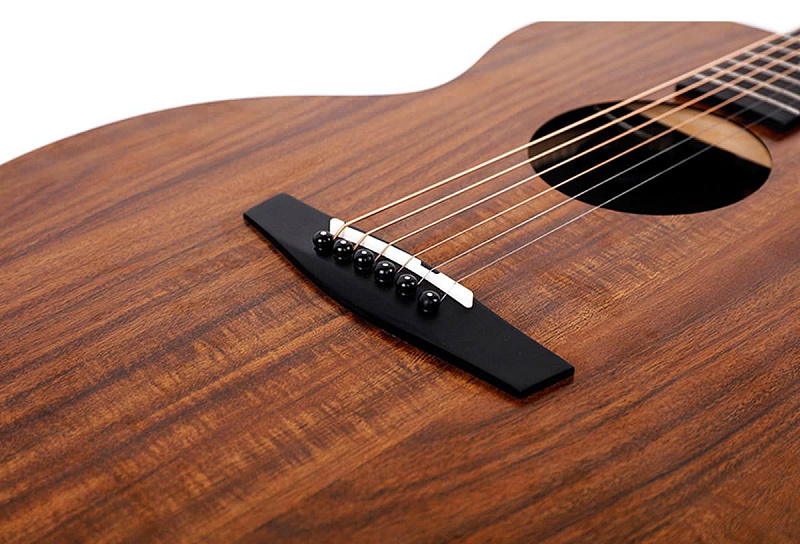 Фото Enya EM-X1+