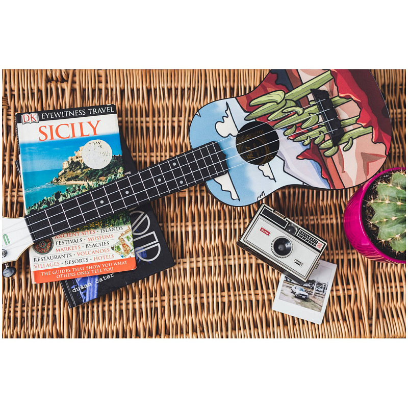 Фото Укулеле концерт FLIGHT TUC UCU / U Can Uke