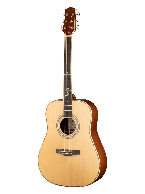 Фото Акустическая гитара Naranda DG305SNA