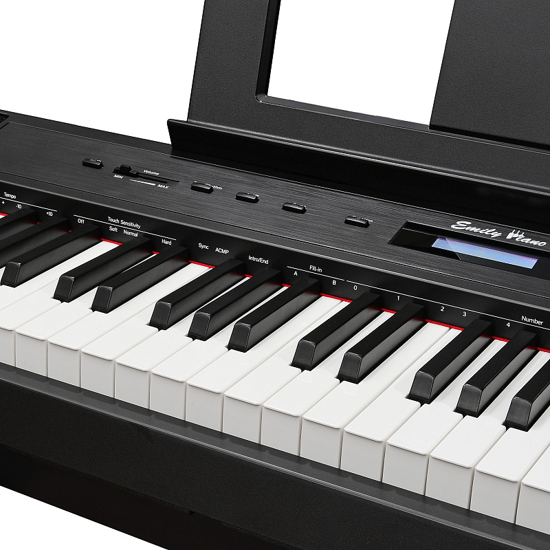 Фото Цифровое фортепиано EMILY PIANO D-22 BK