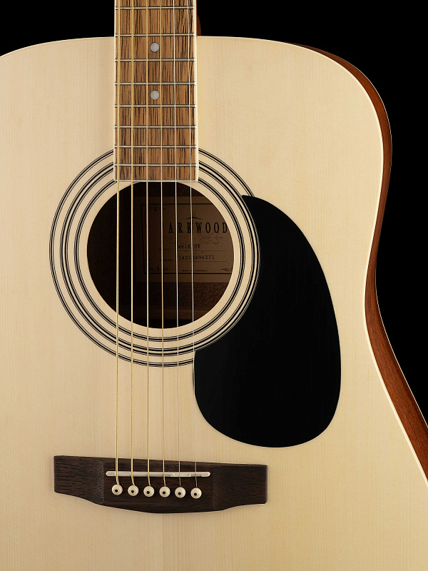 Фото Электро-акустическая гитара Parkwood W81E-WBAG-OP