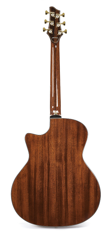 Фото Акустическая гитара NG AM411SC Peach