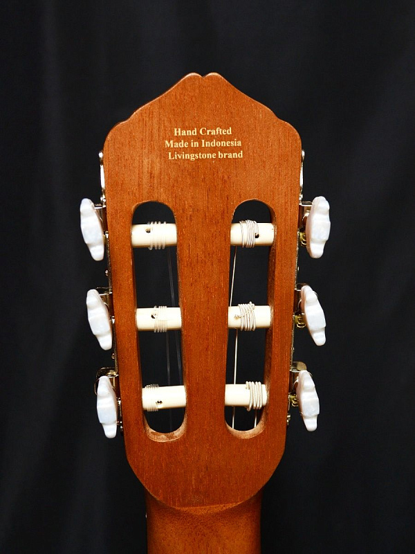 Фото Гитара классическая Livingstone Opera NA
