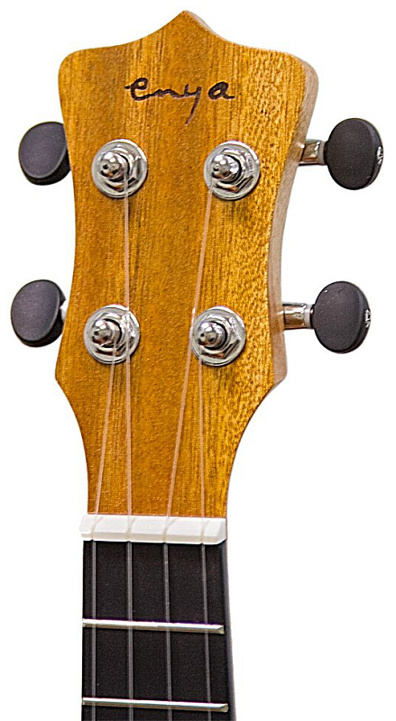 Фото Enya EUS-20