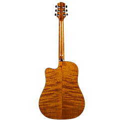 Акустическая гитара Aion Q20