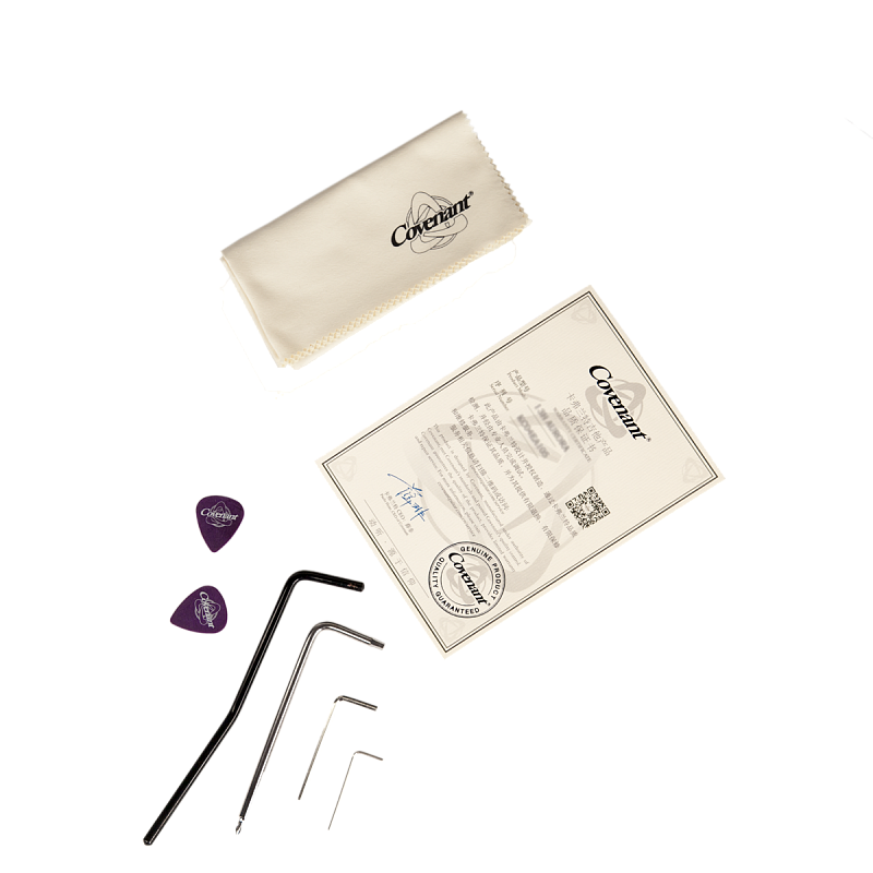 Фото Электрогитара Covenant CUSTOM MODEL BE Lemon в кейсе с аксессуарами