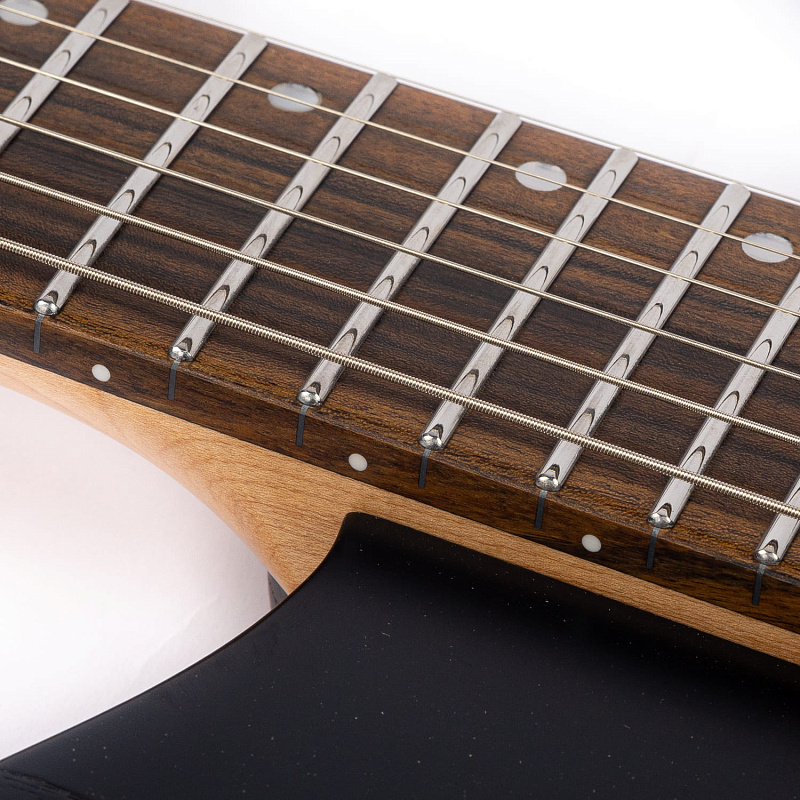 Фото Электрогитара EART GW2 NBK