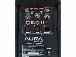 Комплект караоке EVO Icon Double Sub Plus