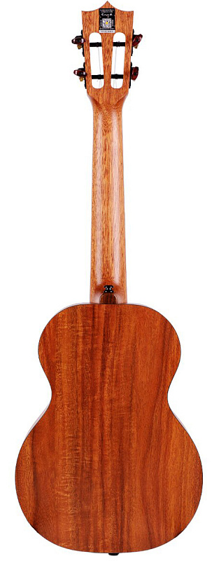 Фото Enya EUT-X1