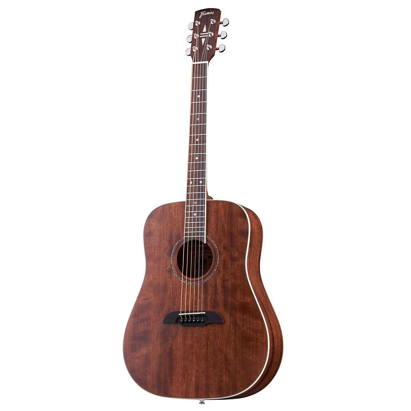Фото Framus FD 14 M NS