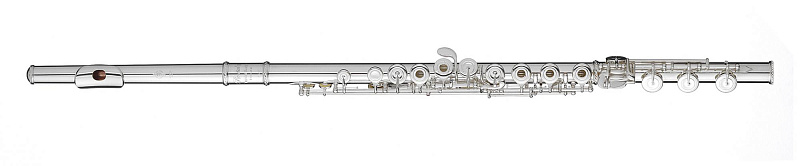 Фото Trevor James Privilege 31PF-ROE