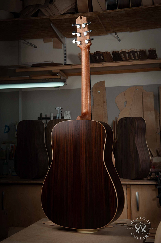 Фото Акустическая гитара NewTone GYPSY ROAD D S N T.V