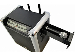 Активная акустическая система Soundking PA10W