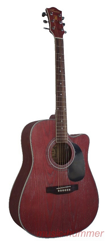 Фото Акустическая гитара Fusion F-111C /TRD