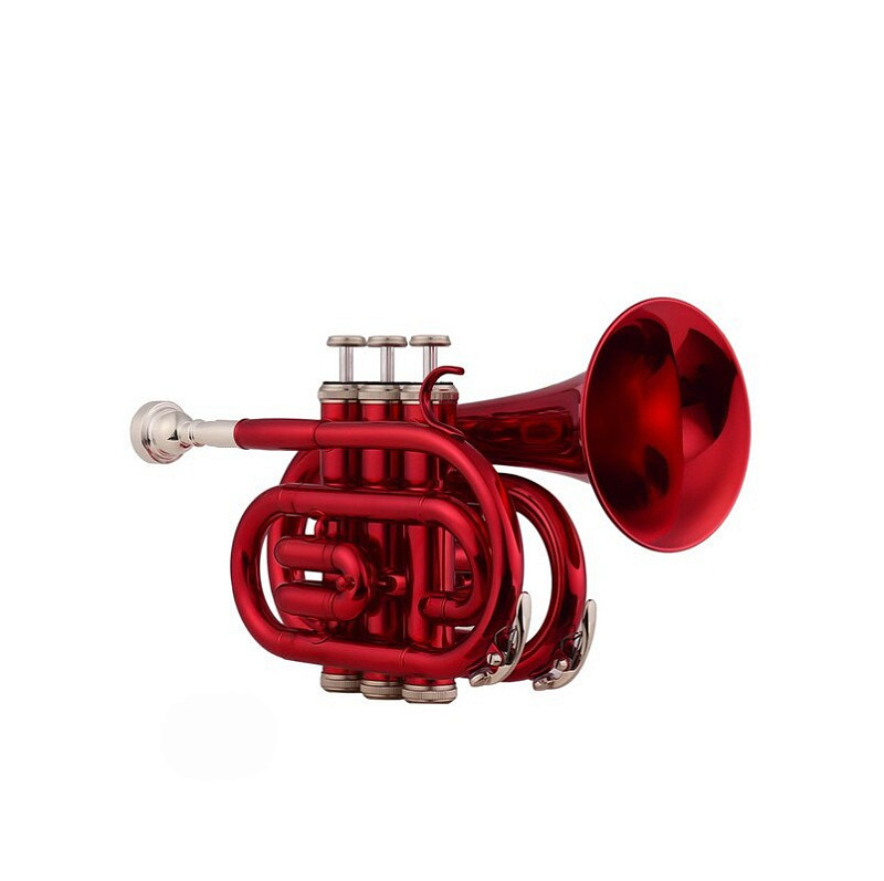 Фото Труба карманная bb Arnolds&Sons ATR-200R