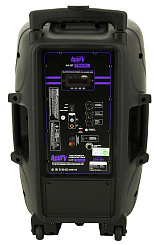 Активная акустическая система Acury AS-12T