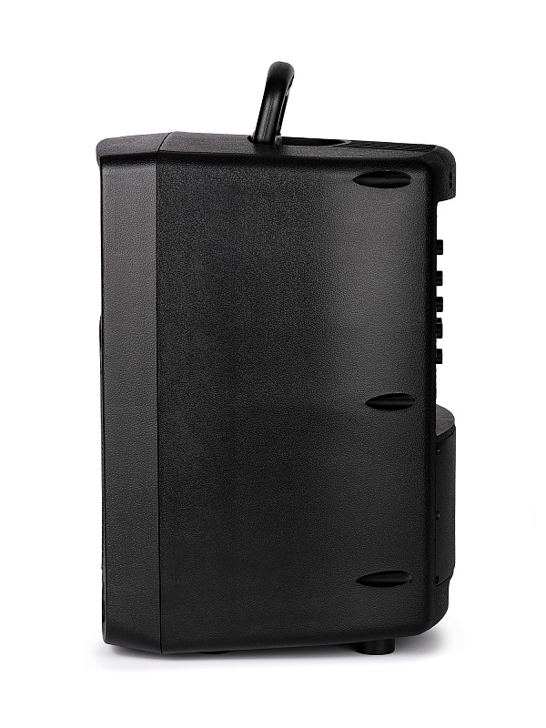 Фото Активная акустическая система Leem PR-8