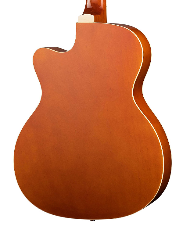 Фото Акустическая гитара, с вырезом Caraya F565C-N