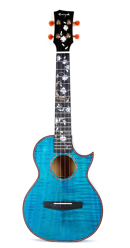 Фото Enya EUT-Flower